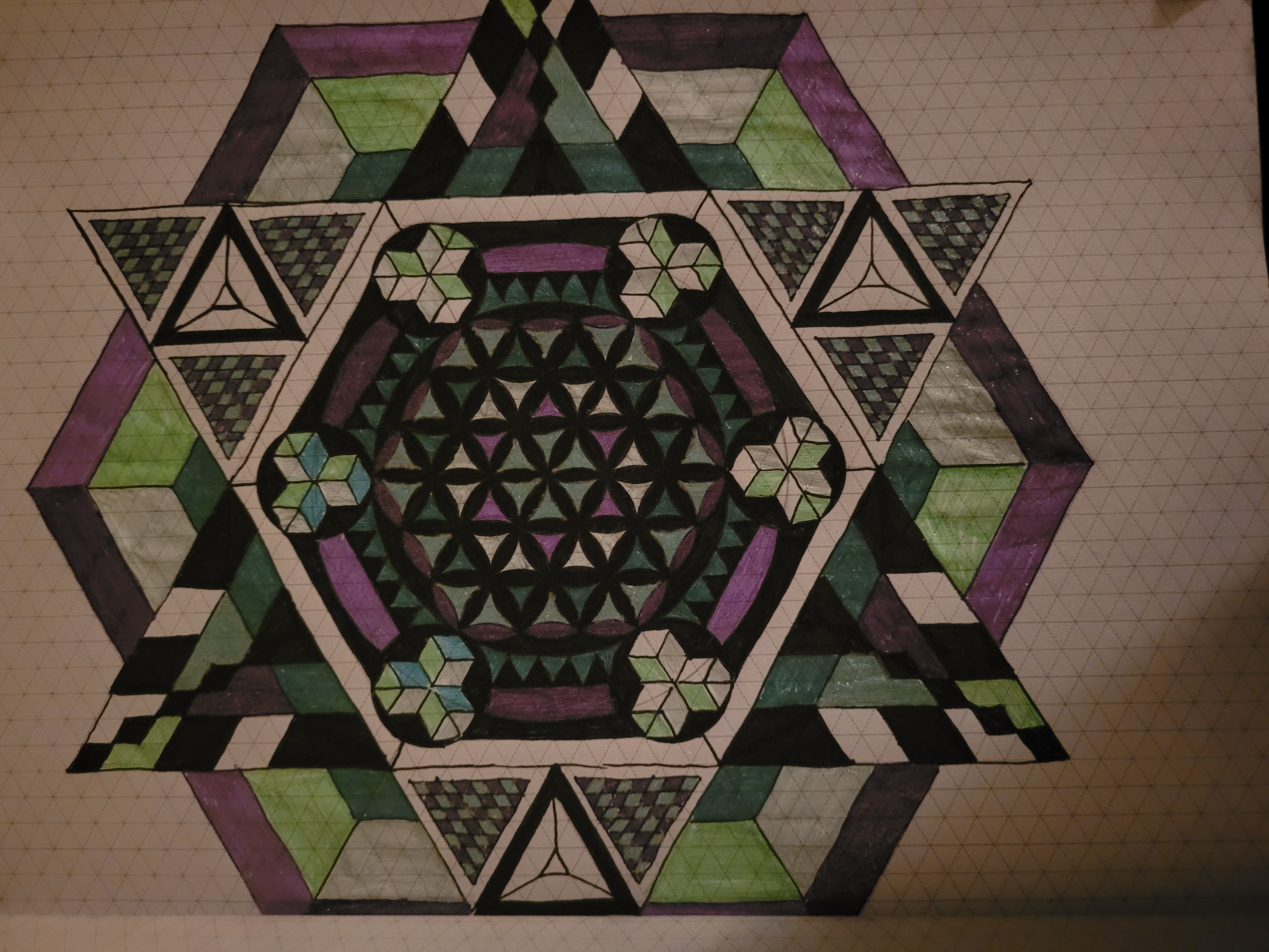 Flower of life Art Study